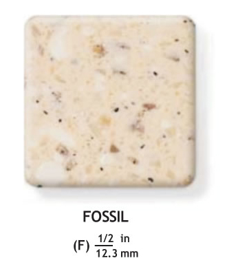 fossil