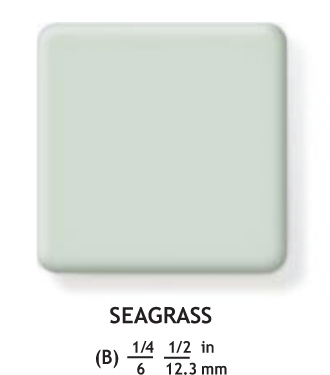 seagrass