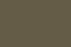 S114_Mill_Olive