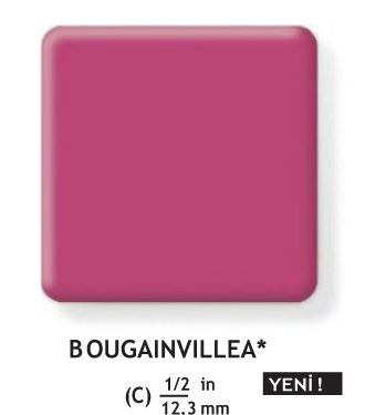 bougainvillea