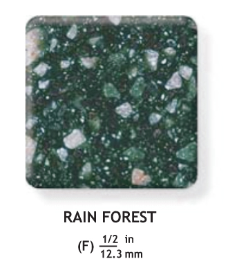 rain_forest