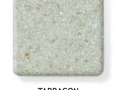 tarragon